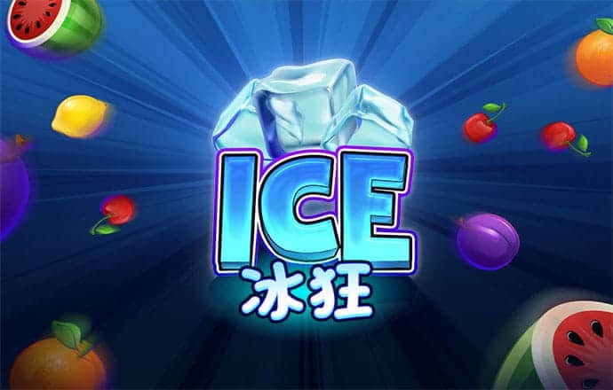 全年最精准36码